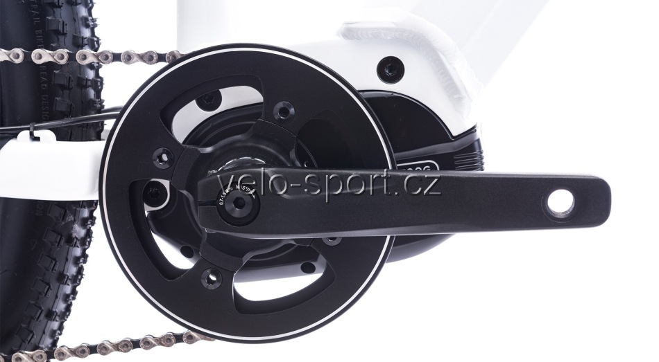 Motor bafang na elektrokole CTM