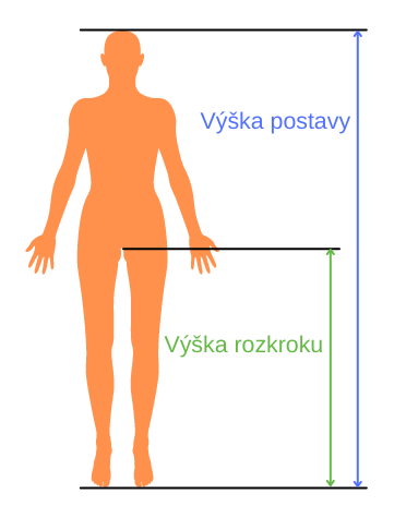 Výška postavy
