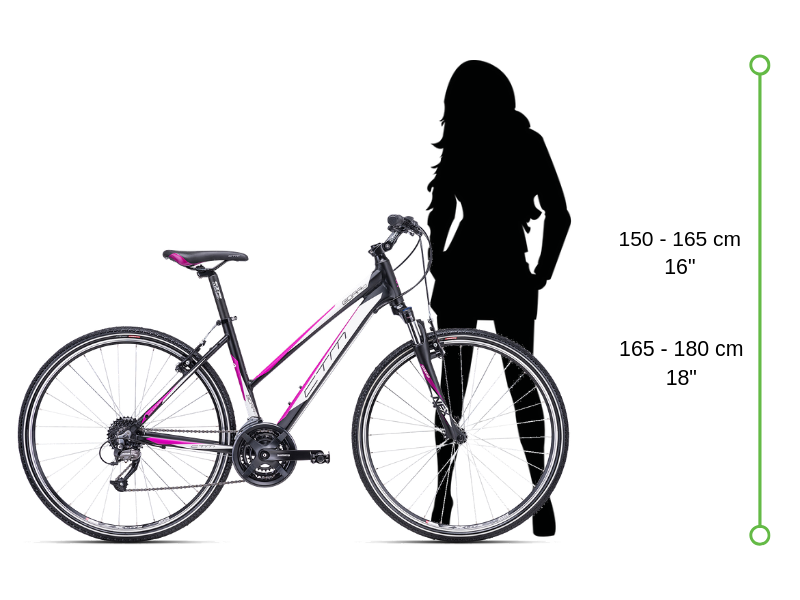 velikost rámu dámského krosového trekingového kola ctm bora 1.0