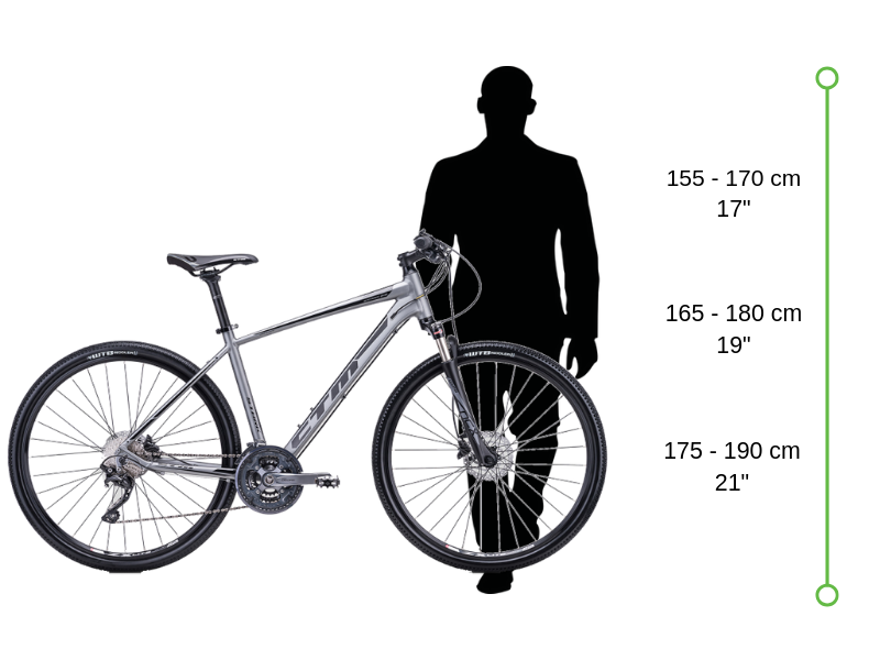 Velikost elektrokola CTM Sense