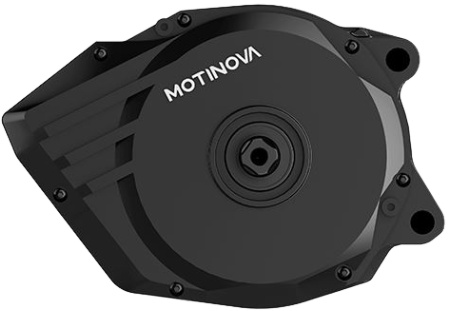 Motinova volans