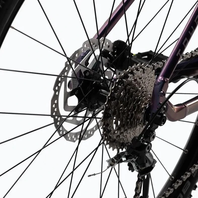 Elektrokolo Kellys Tayen R10 AIR magic pink 29" 725Wh