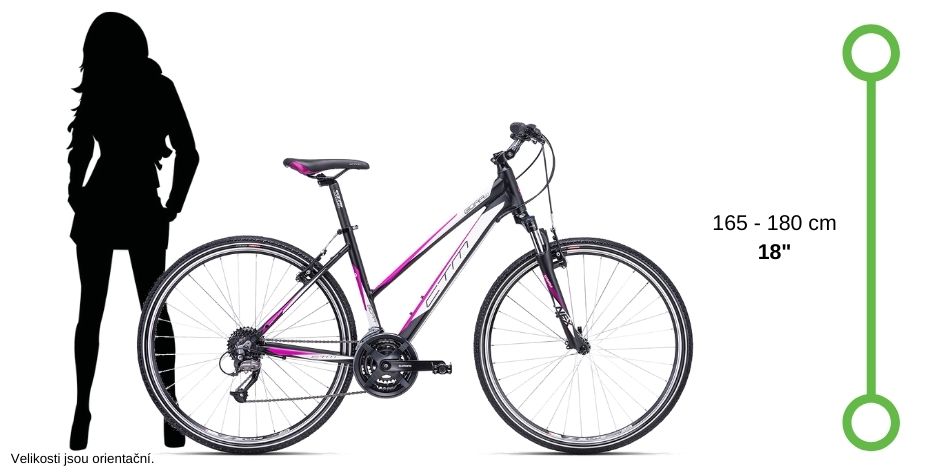 Dámské kolo CTM Targa lady tyrkysová