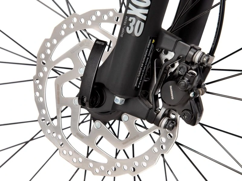 Elektrokolo CTM Roxxy GX černá/fialová