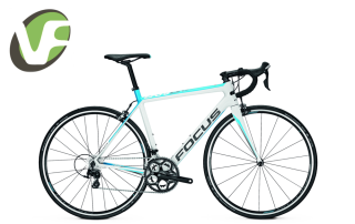Silniční kolo Focus Cayo 105 22G 2017 white/blue/grey